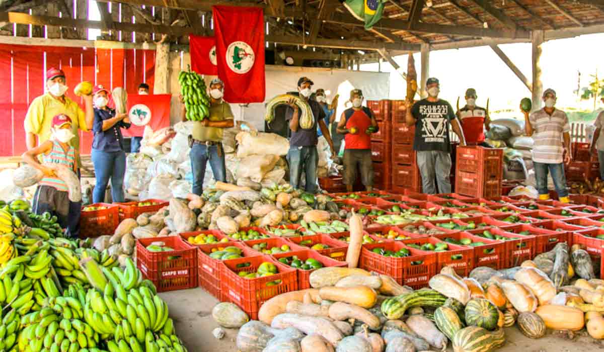 Colheita dos produtores assentados do MST