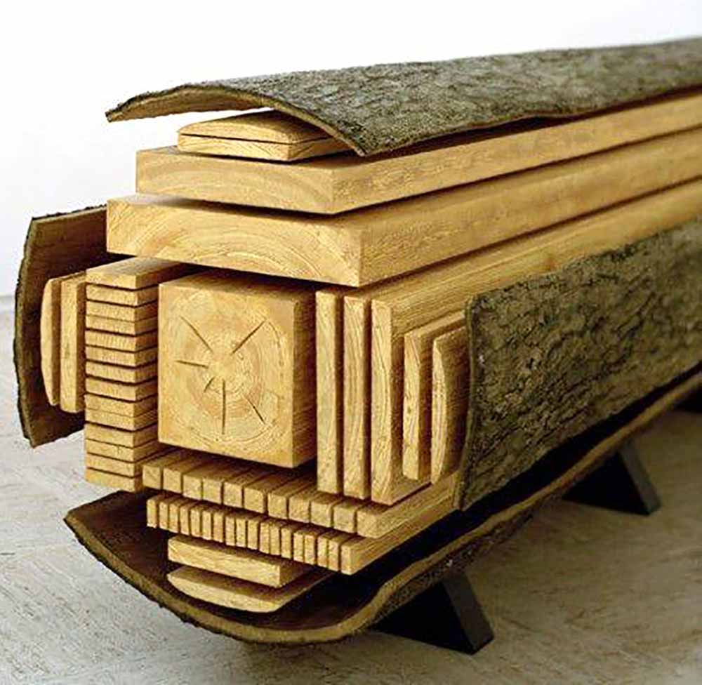 Os diversos cortes possíveis numa toda de madeira