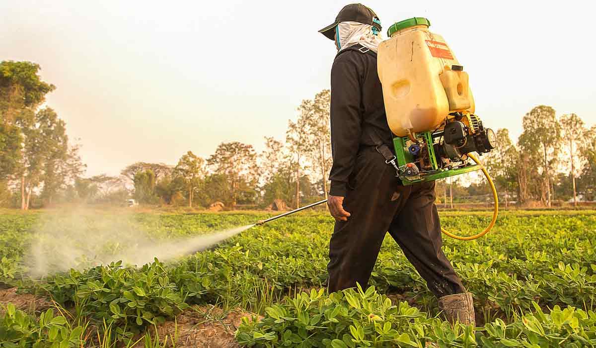 Agricultor pulverizando pesticida na lavoura