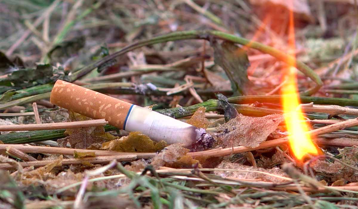 Guimba e cigarro jogada em área de campo seco