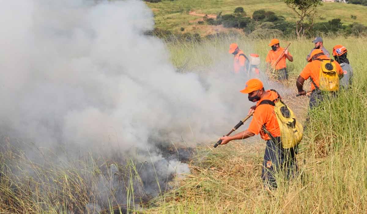 Brigada de incêndio  no combate a queimada em área rural