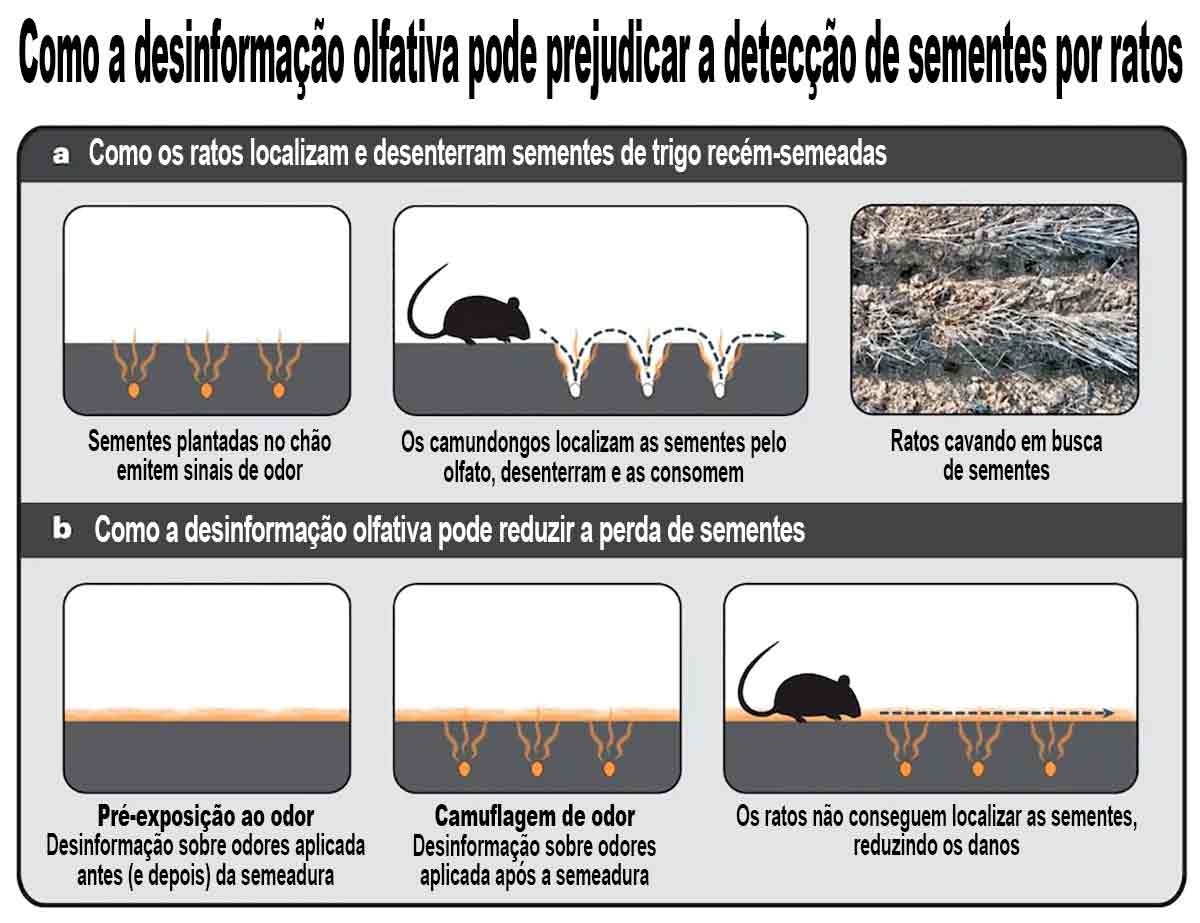 Ilustração sobre o método de camuflagem química