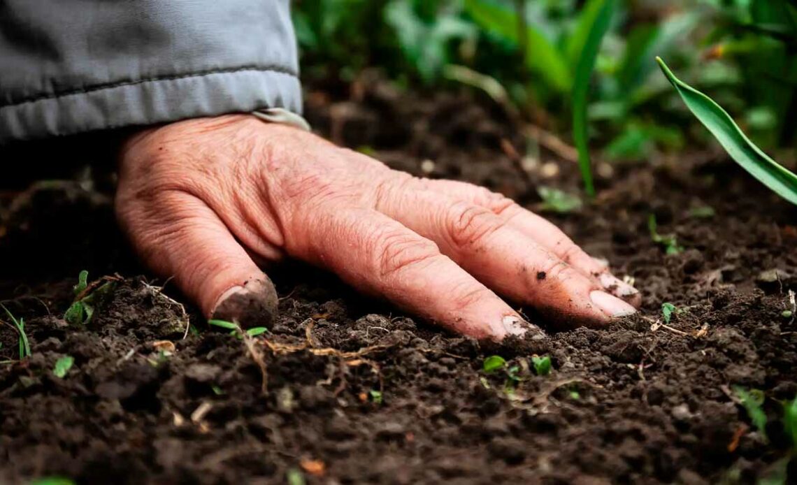 Agricultor com a mão no solo, seu principal patrimônio