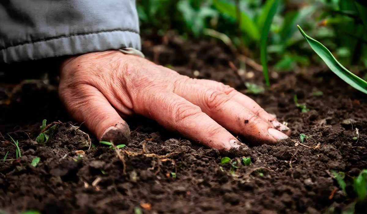 Agricultor com a mão no solo, seu principal patrimônio