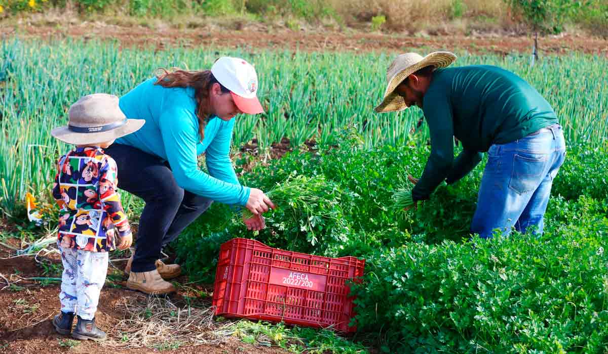 Família de agricultores trabalhando na lavoura