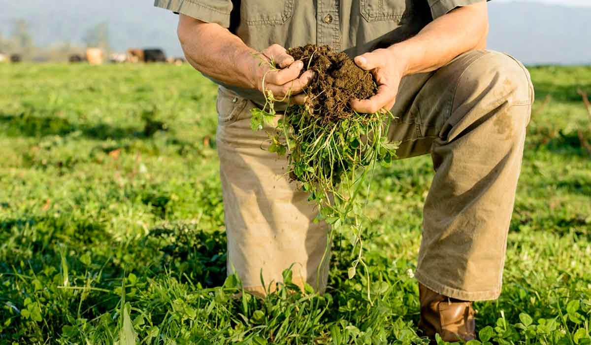 Agricultura regenerativa