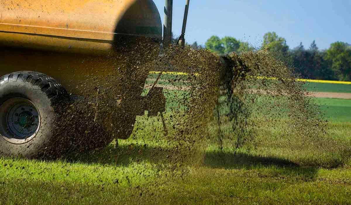 Utilização de resíduos tratados para fertilização