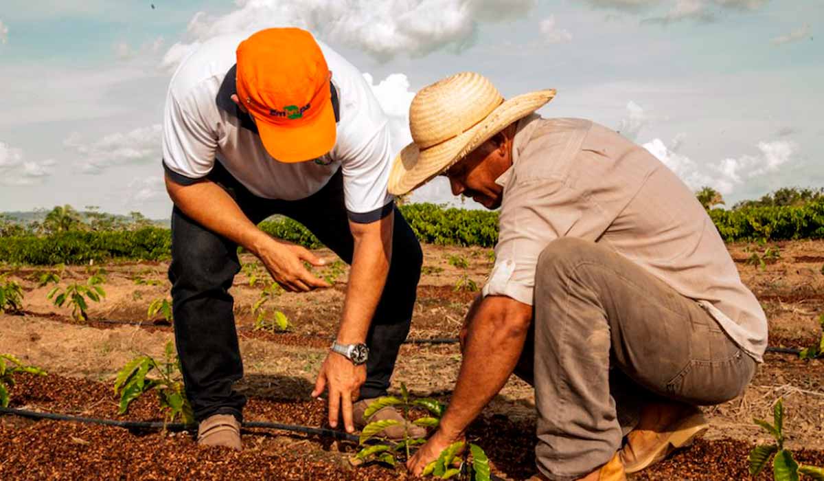 Agricultor recebendo orientações do extensionista