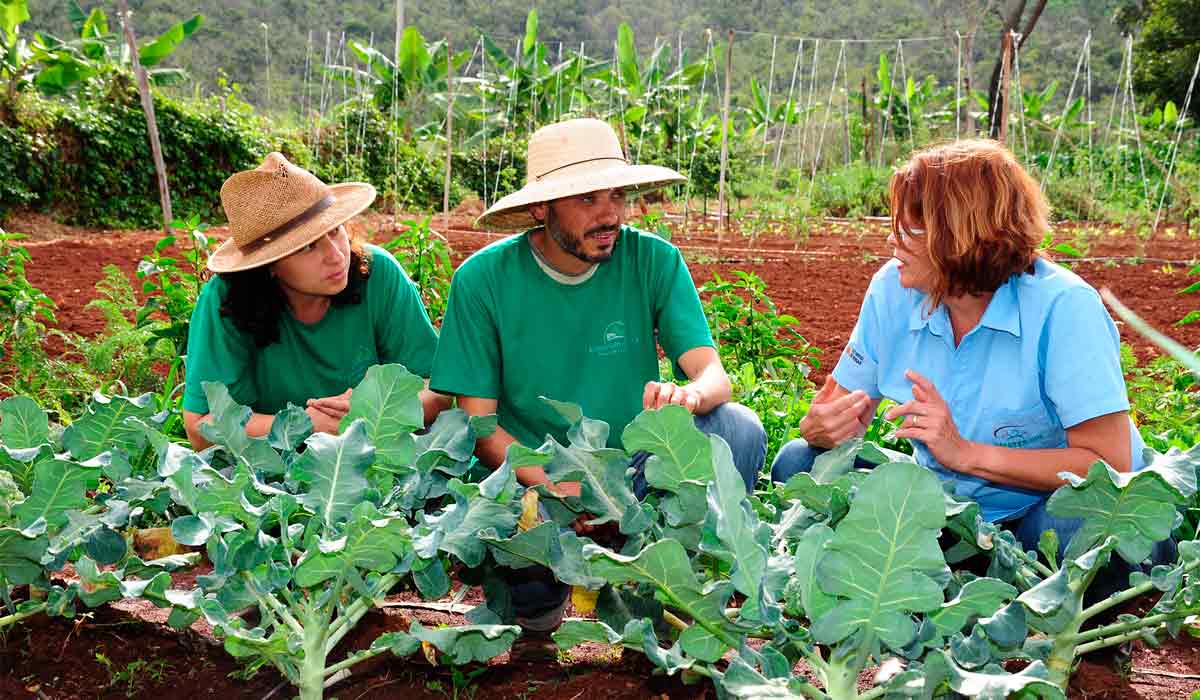 Extensionista atendendo casal de agricultores