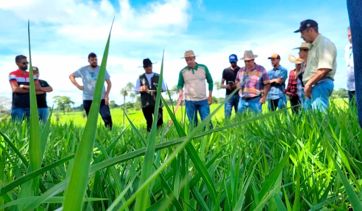 Grupo em dia de campo com o extensionista