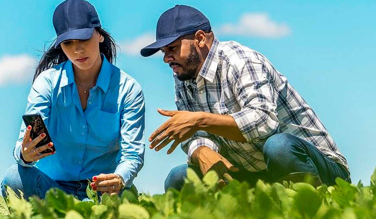 Agrônomos utilizando o aplicativo no campo