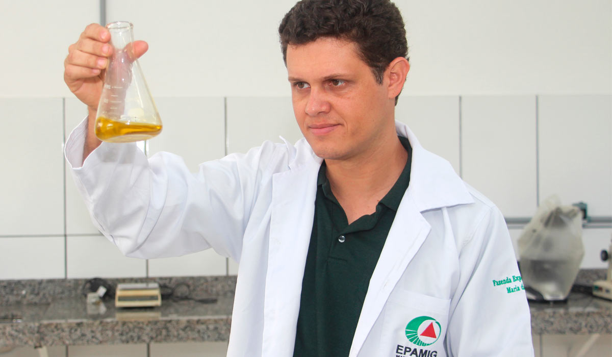 O engenheiro agrônomo Luiz Fernando de Oliveira e Silva desenvolve estudos no Núcleo Tecnológico EPAMIG Azeitona e Azeite, em Maria da Fé, MG