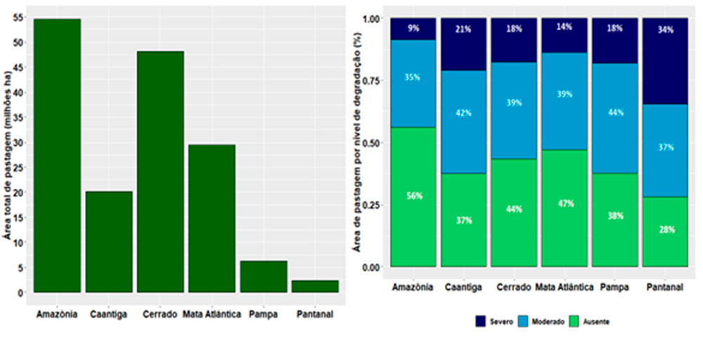 Áreas de pastagem entre os seis biomas brasileiros