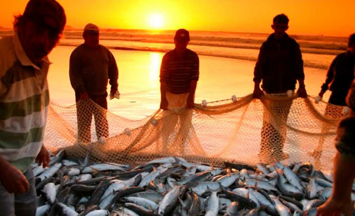 Pescadores artesanais mostrando o resultado da pesca ao por do sol
