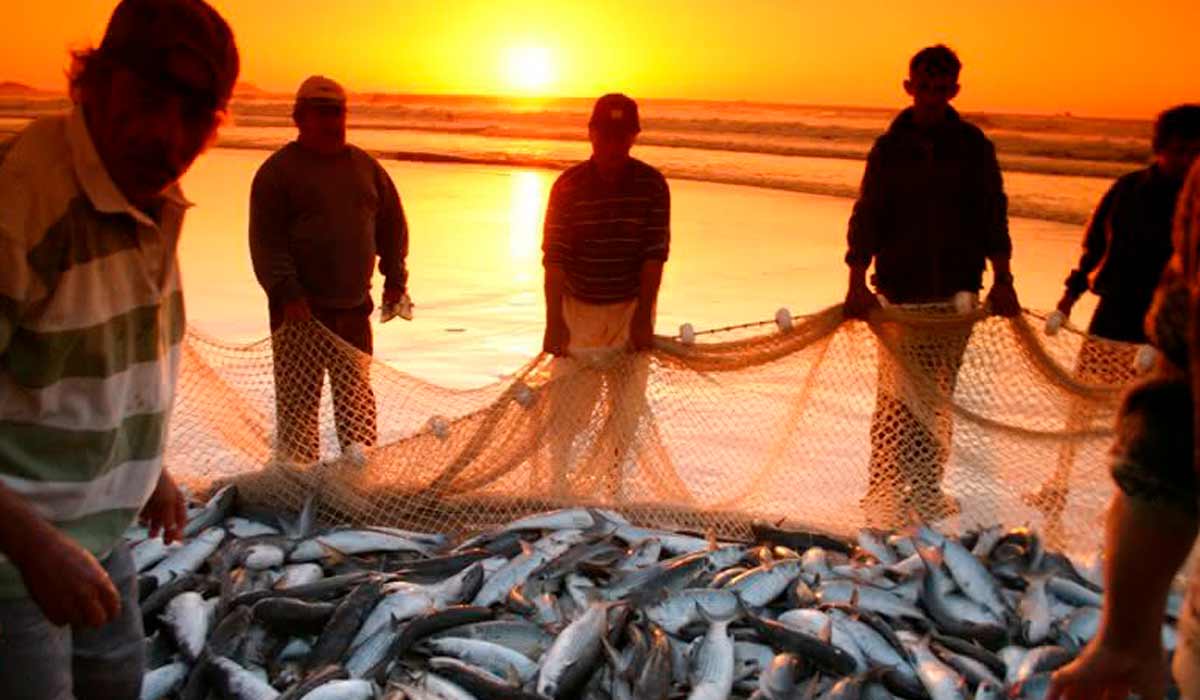 Pescadores artesanais mostrando o resultado da pesca ao por do sol