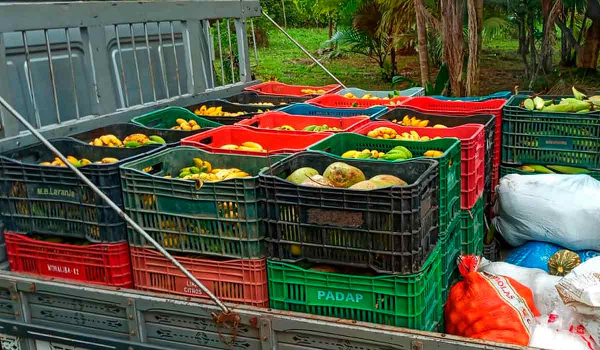 Caminhão carregado com produtos da agricultura familiar