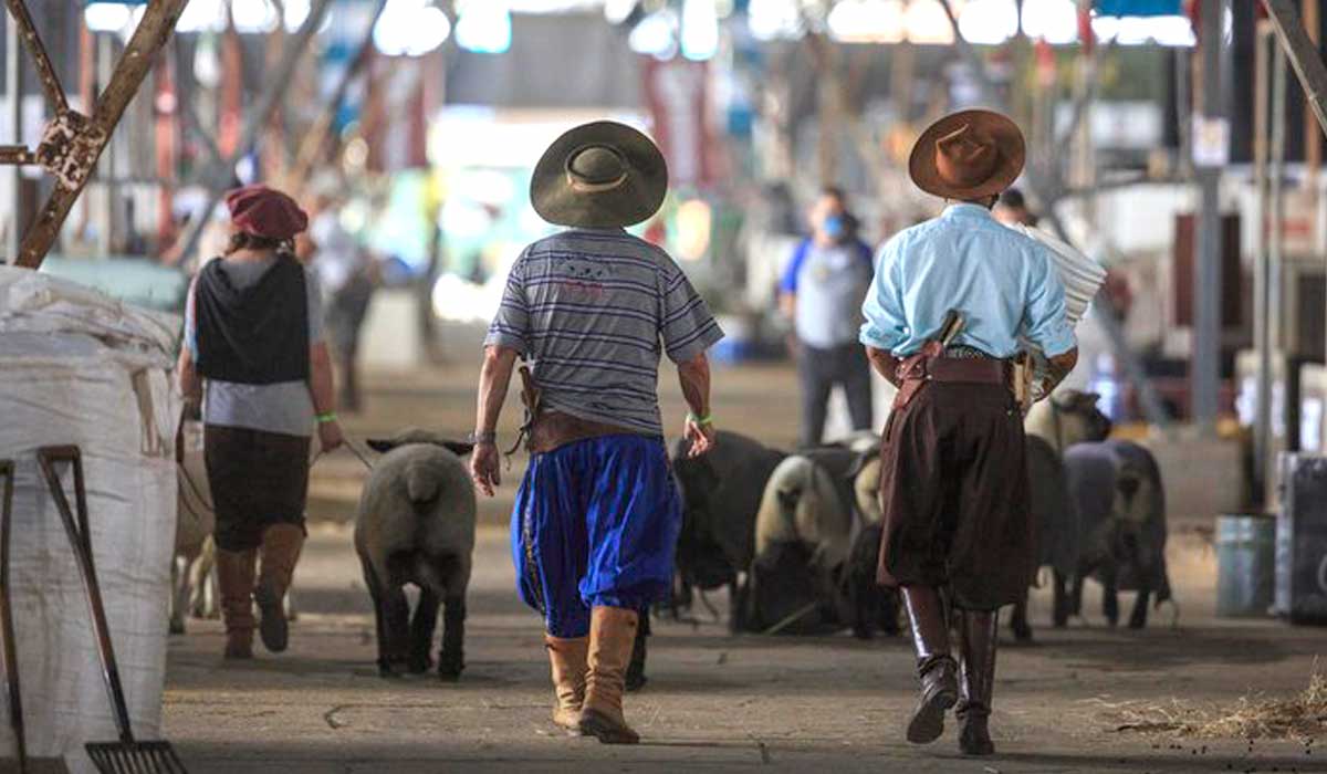 Campeiros gaúchos no galpão dos animais da Expointer