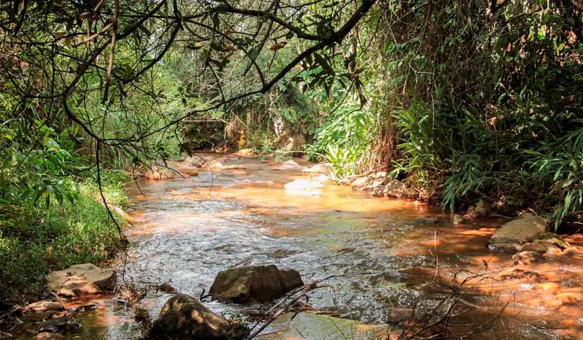 Bacia do Rio das Velhas