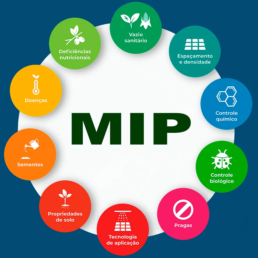 Ilustração do manejo integrado de pragas-MIP