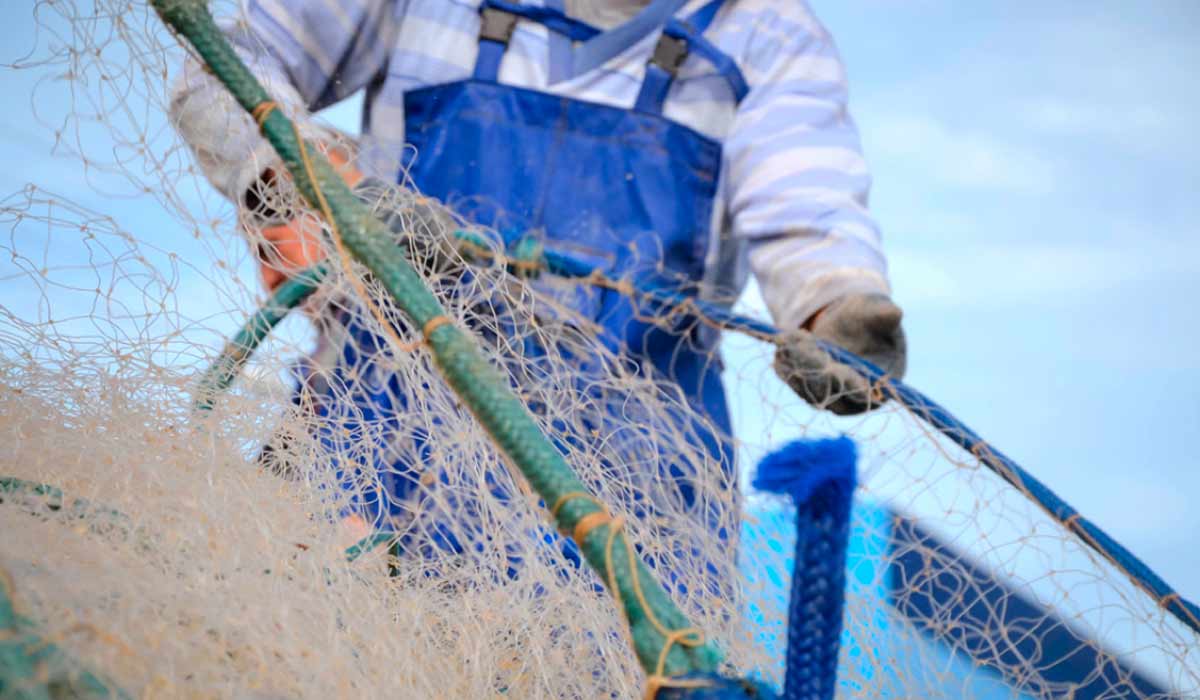 Pescador recolhendo rede