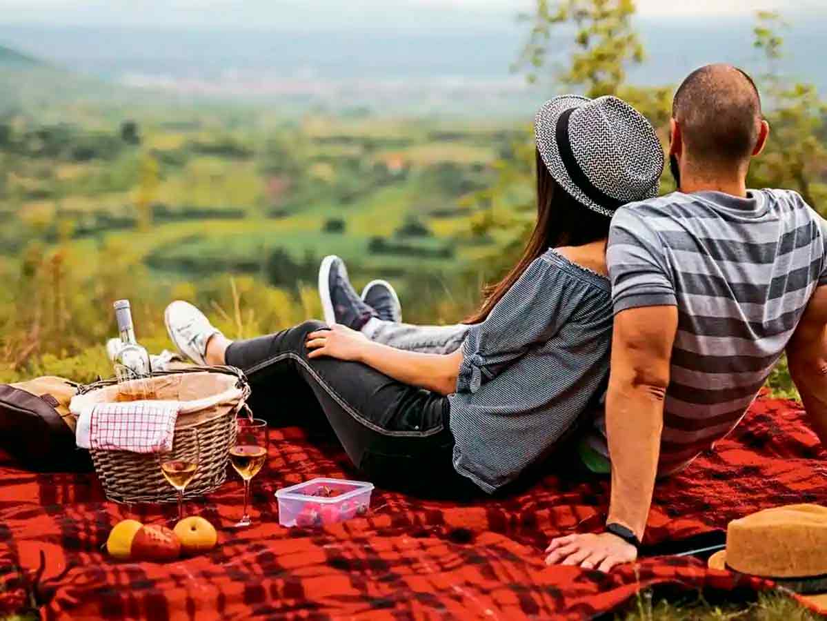 Picnic