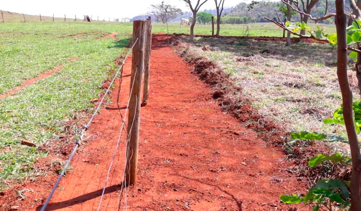 Aceiro bem construído, limpo, protegendo cercas e áreas vegetadas