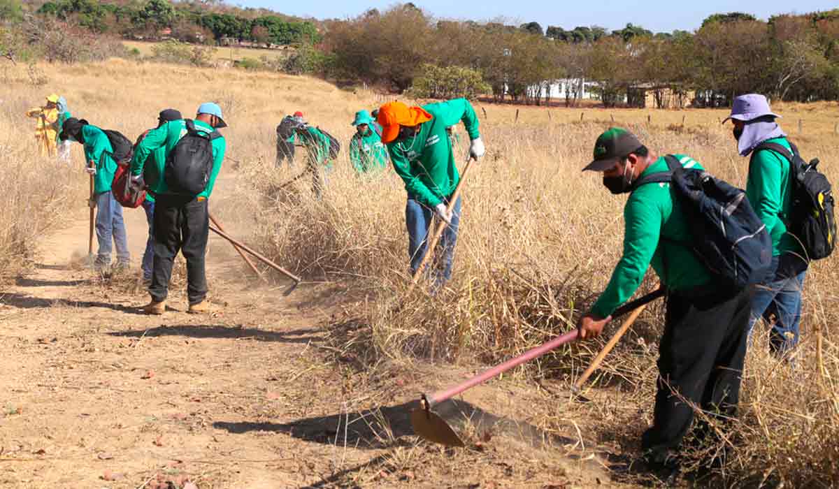 Brigada de incêndio construindo aceiro com ferramentas manuais