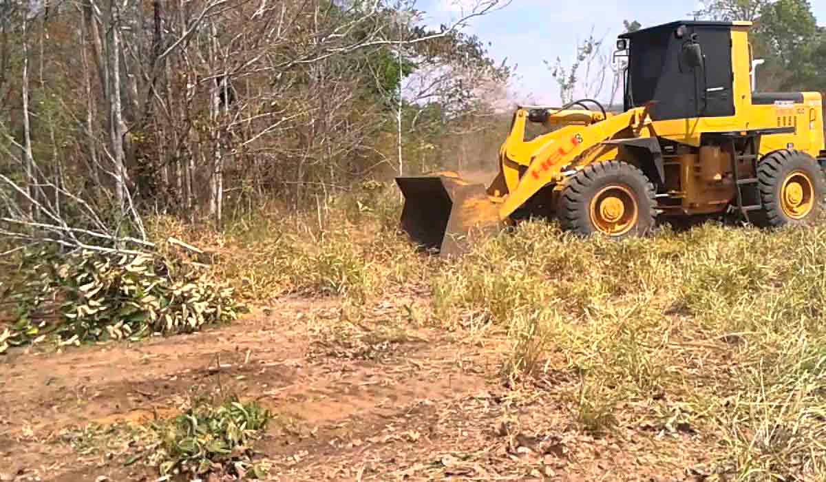 Pá carregadeira limpando material orgânico combustível