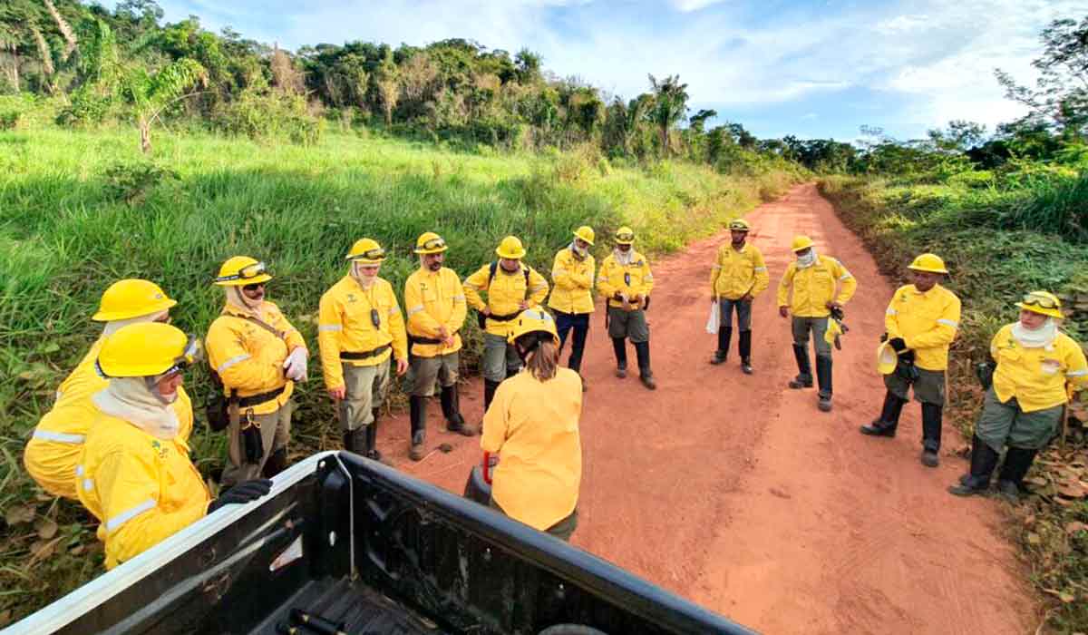 Brigada de incêndio sendo mobilizada