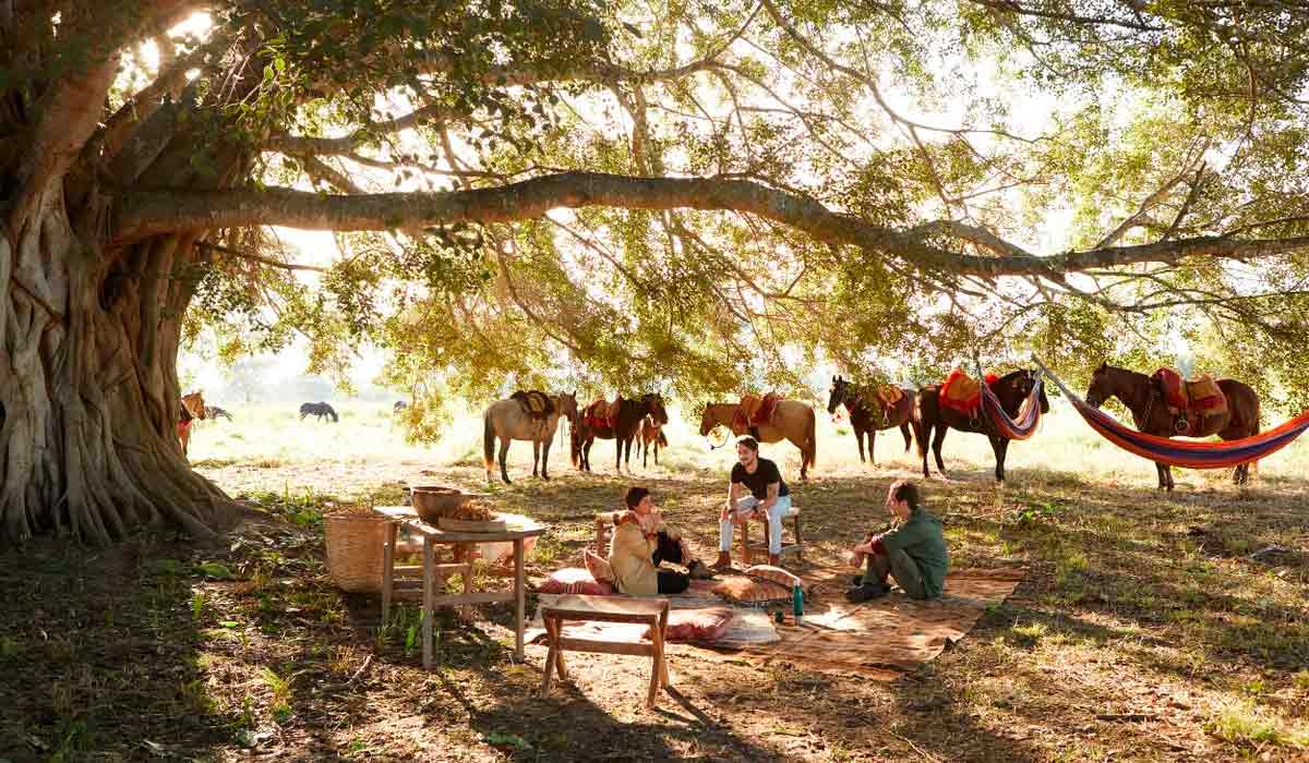 Cavalgada com picnic