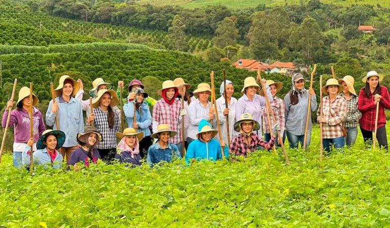 Meio Rural Turismo rural, o sabor da vida no campo - RURALTECTV