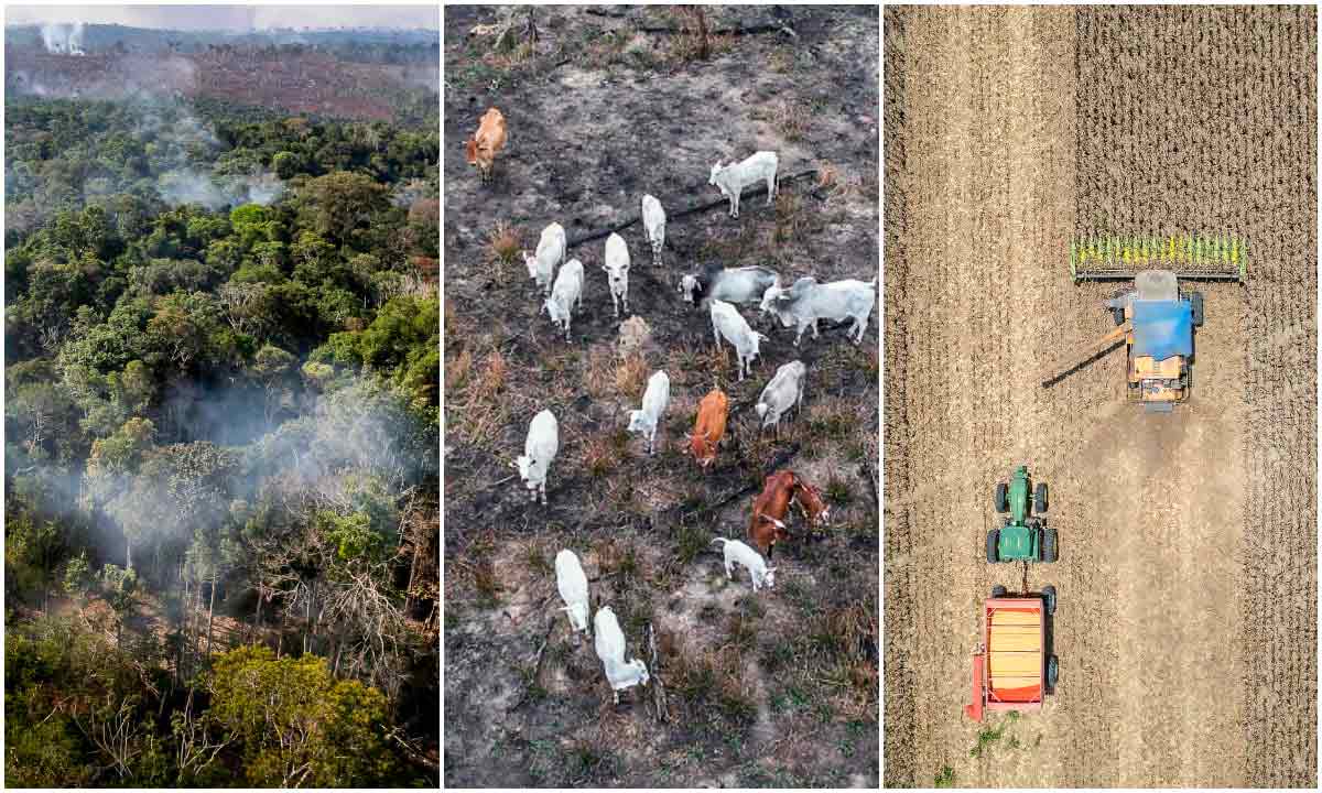 Processo de desmatamento usualmente utilizado nas fronteiras agrícolas