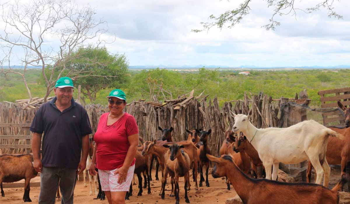 Marssio Gomes, o Pedrinho, sua esposa Francileide Costa e suas cabras