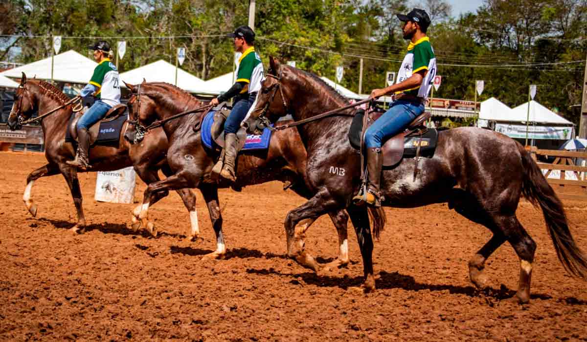 Cavalos e cavaleiros em apresentação na pista
