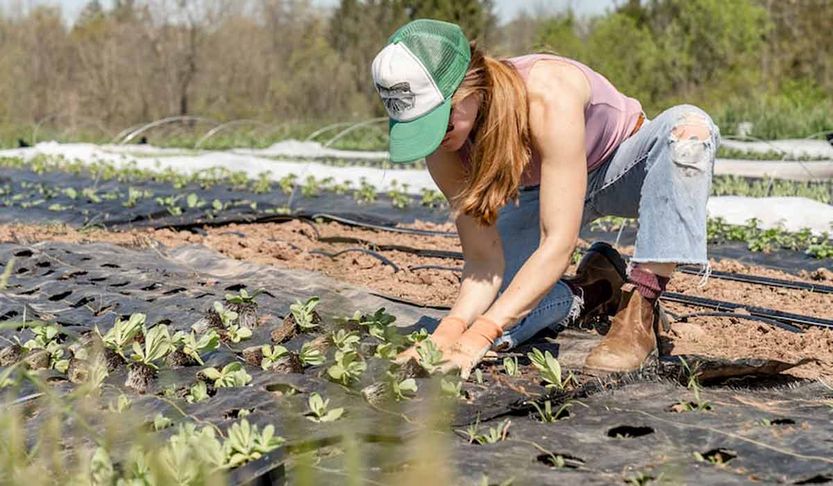 Agricultora cultivando