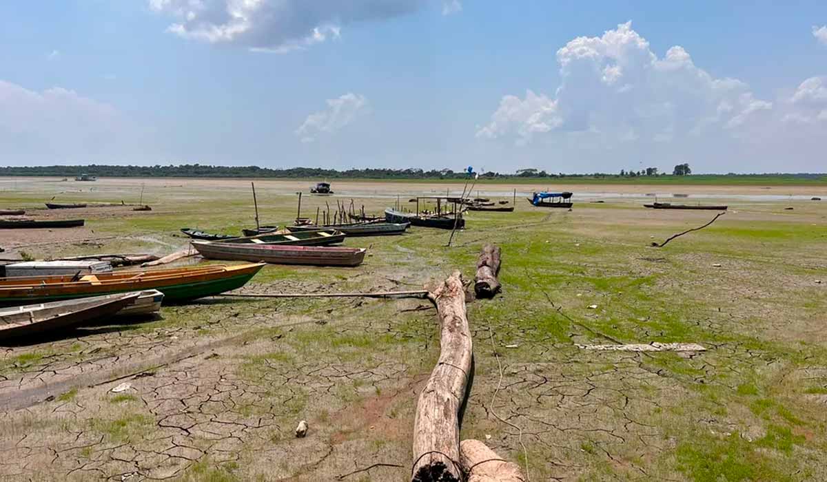 Lago do Aleixo secou em Manaus — Foto: Gato Júnior/Rede Amazônica