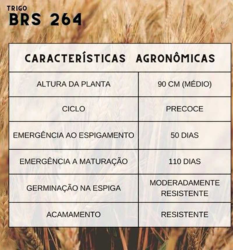 BRS 264 Características agronômicas