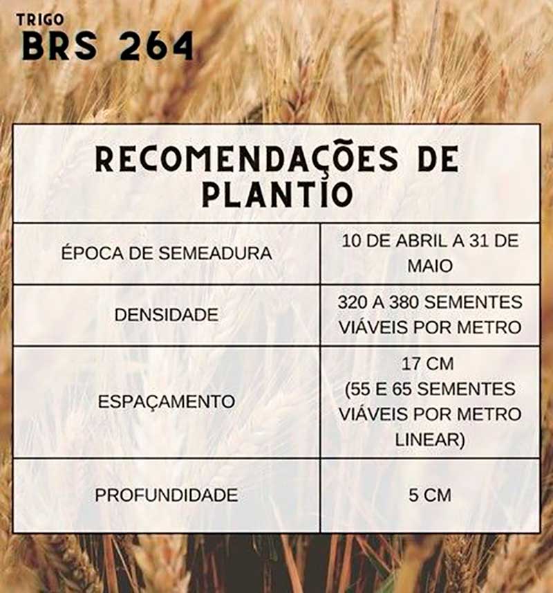 BRS 264 Recomendações de plantio