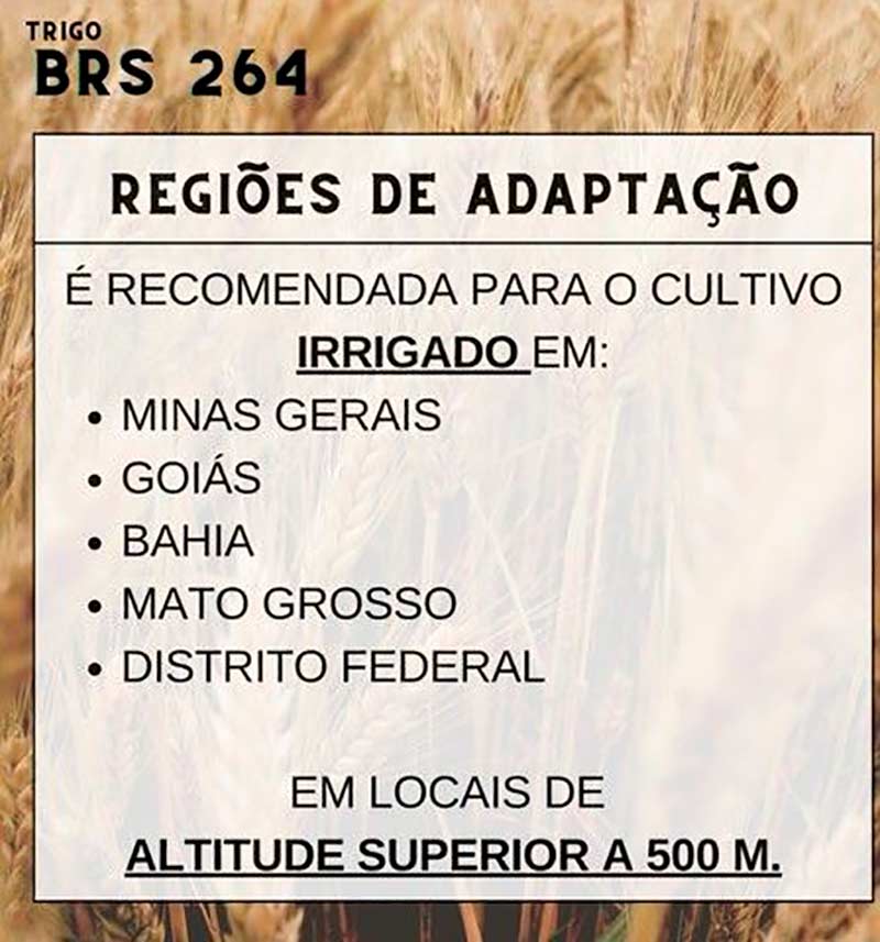 BRS 264 Regiões de adaptação