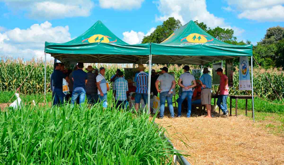 Dia de campo sobre tecnologia promovido por cooperativa