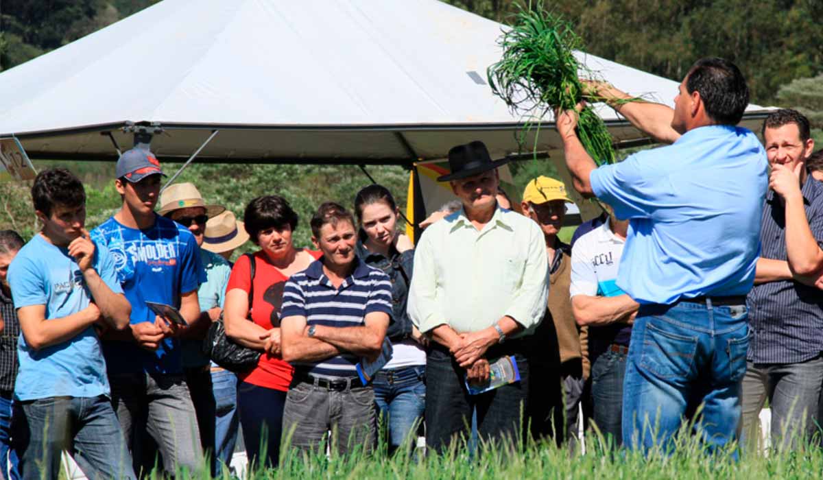 Produtores em dia de campo