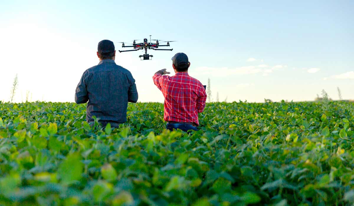 Produtor pilotando um drone na sua lavoura