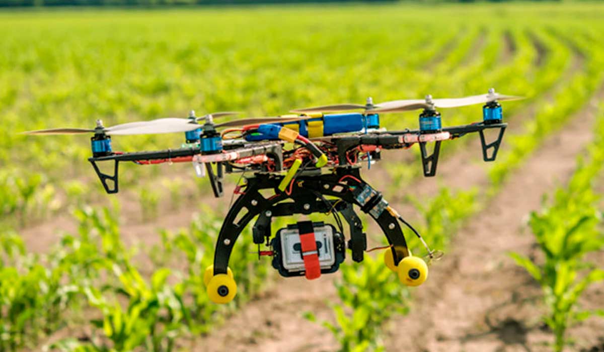 Drone em atividade na lavoura