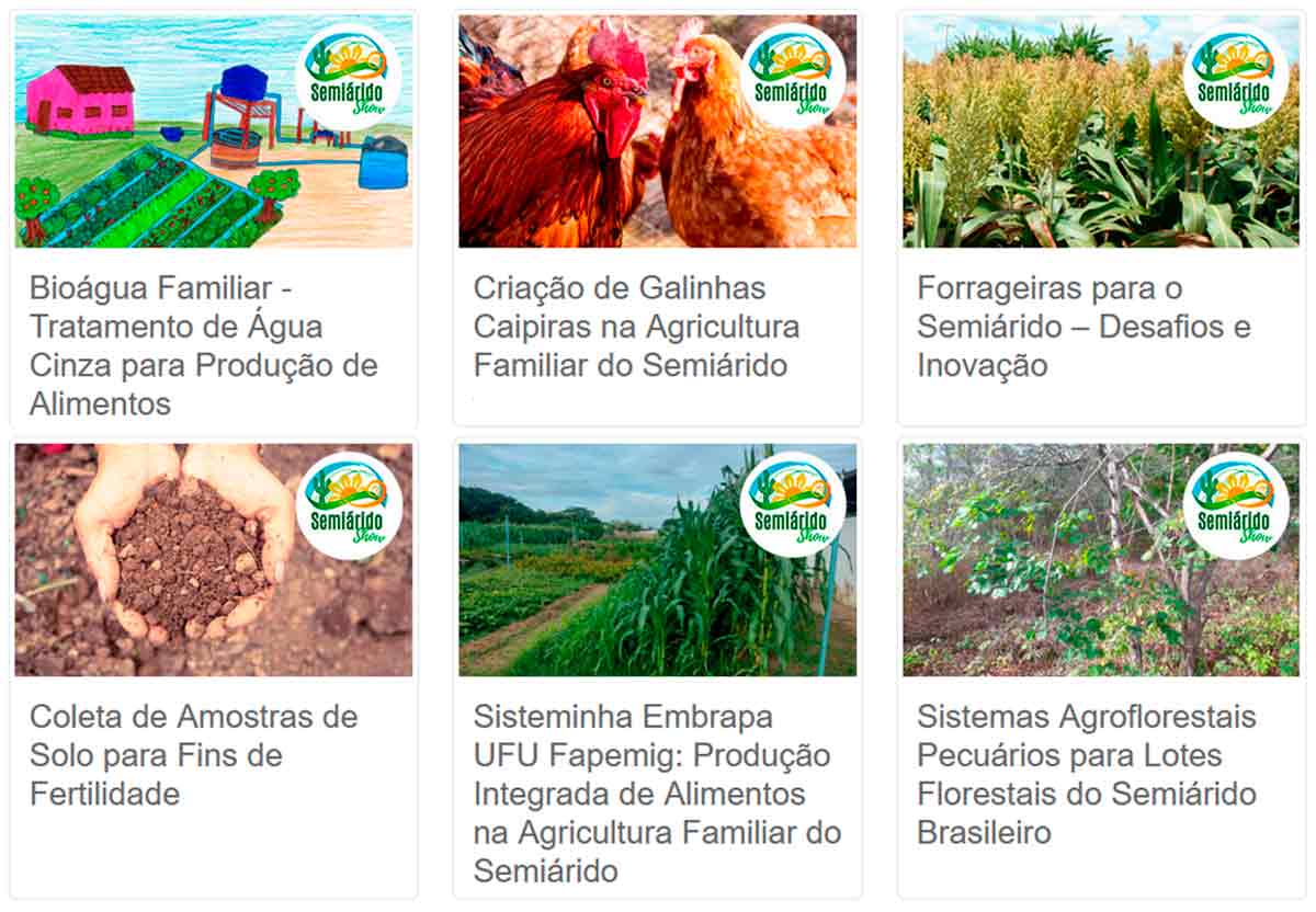 Alguns cursos on-line da Embrapa