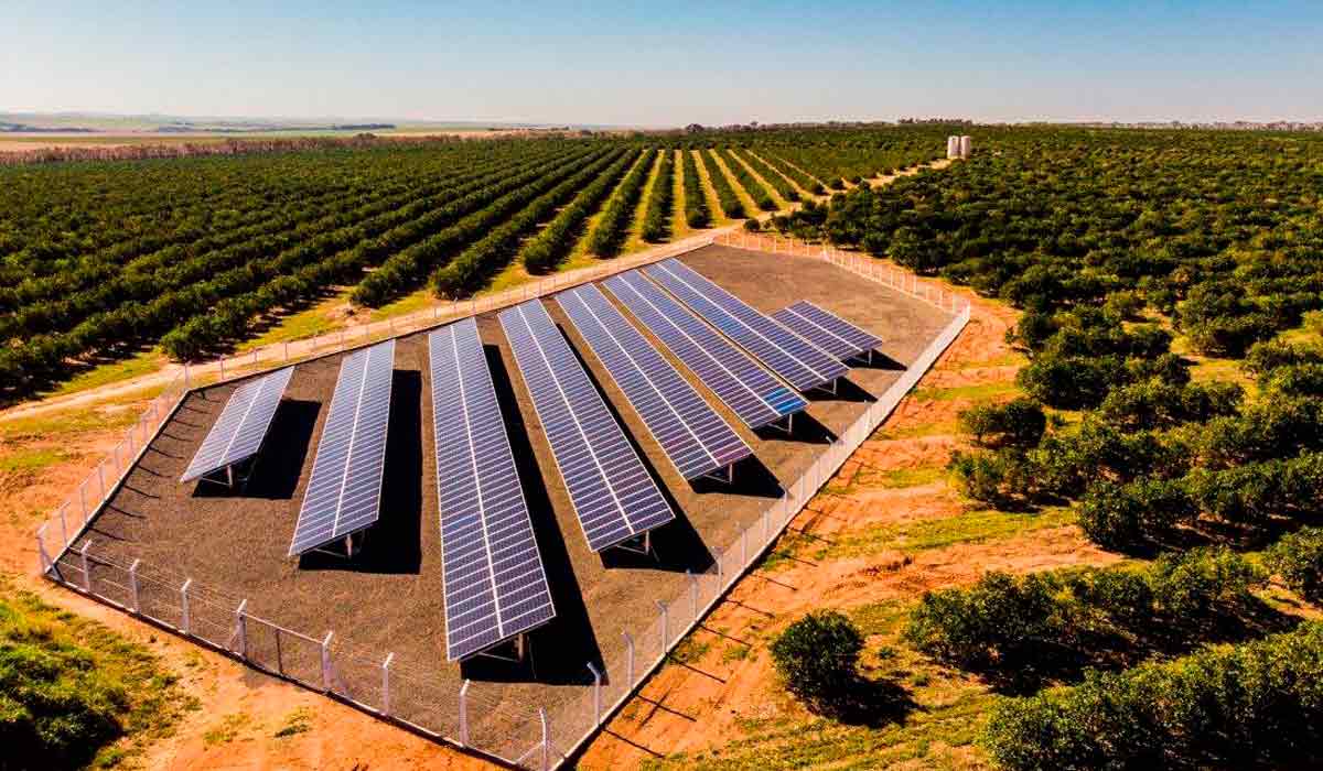 Bateria de painéis solares no pomar de citros