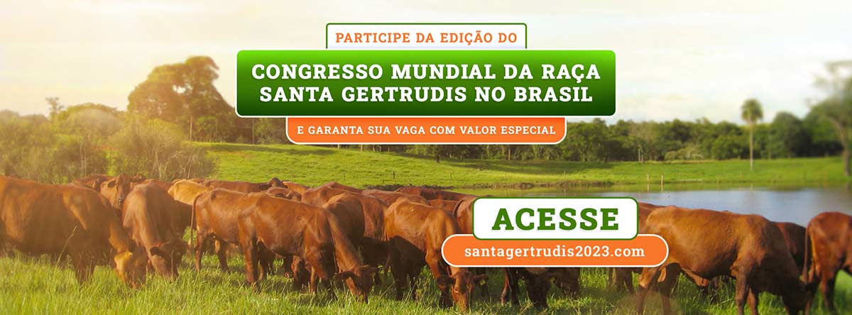 Banner do Santa Gertrudis Congresso Mundial no Brasil 2023