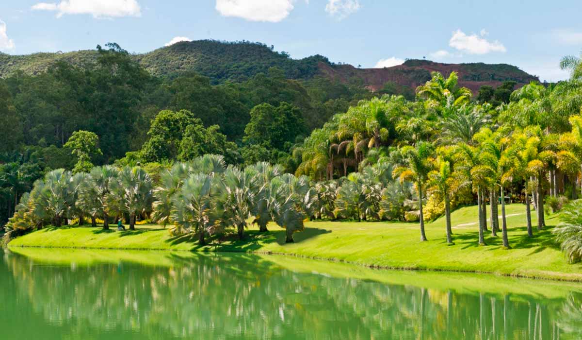 Área rural que recebeu projeto paisagístico