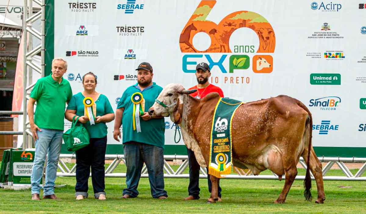 A vaca Japonesa FIV BRT Campeã na Expo Rio Preto 2023