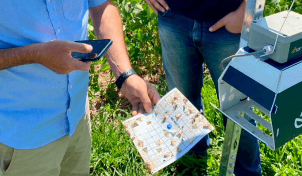 Dotada de IA, ferramenta é alternativa aos fruticultores, auxiliando no controle dos insetos-pragas, principalmente no cultivo de uva, manga e melão