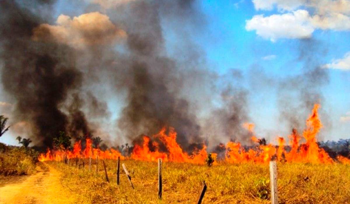 Queimada em propriedade rural